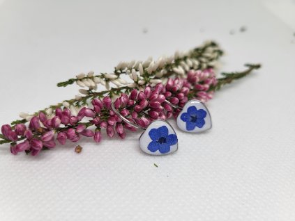 Náušnice poměnky 1