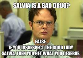 Šalvěj