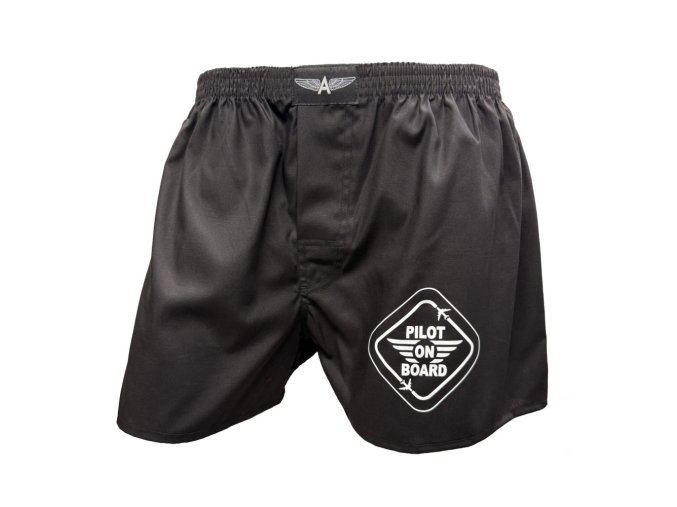 168c3d54b89e6a pilot underwear pilot on board 1