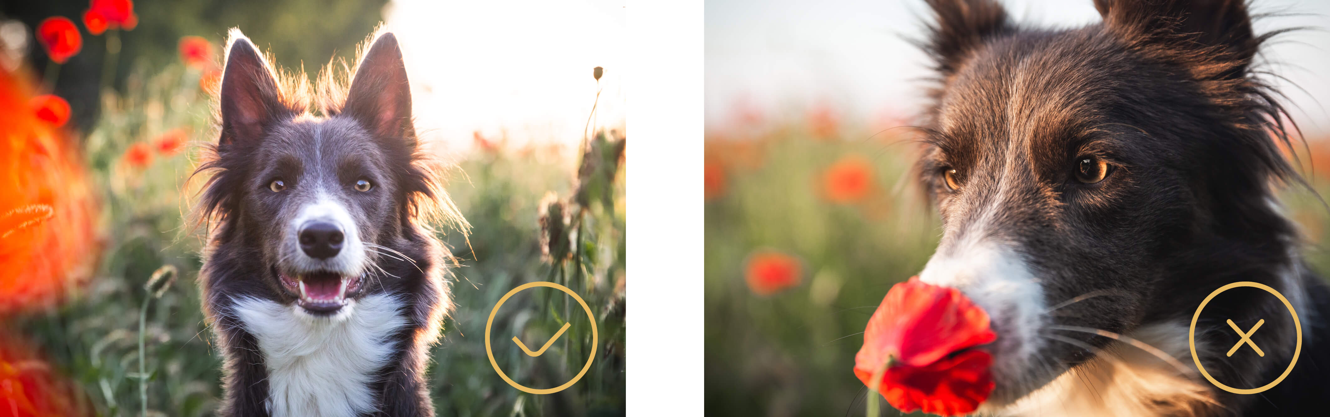 blog-pohled