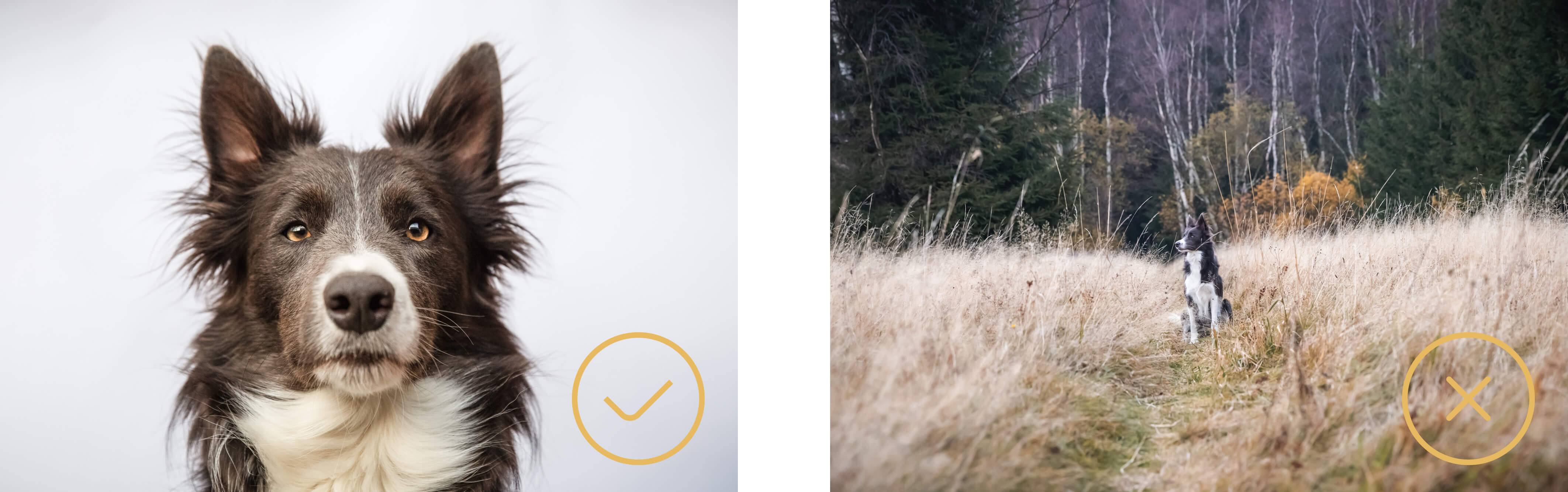 blog-velikost