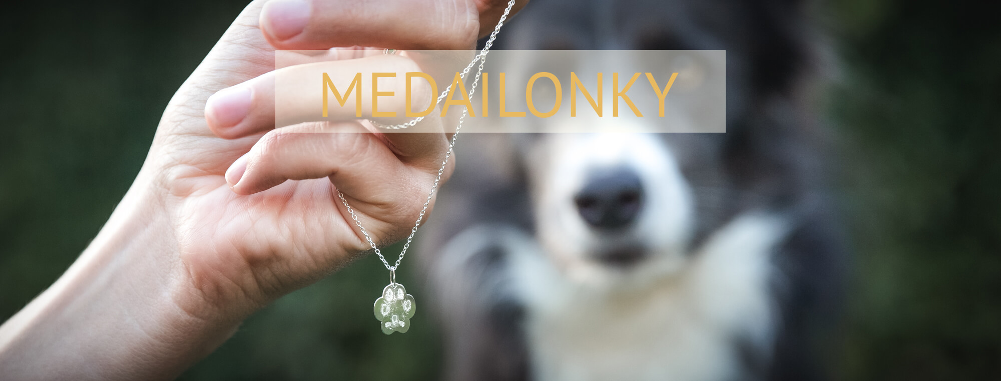 úvod-banner-medailonek
