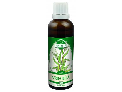 P49%20vrba%20b%C3%ADl%C3%A1