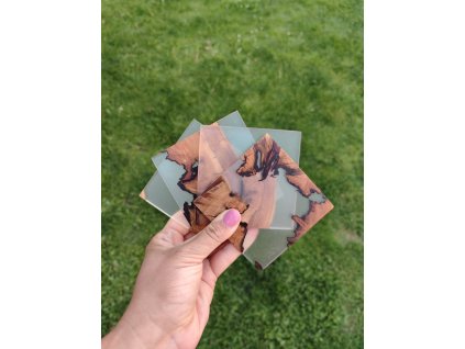 Podtácek Švestka a epoxid