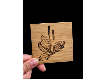 Podtácek dřevěný JITROCEL