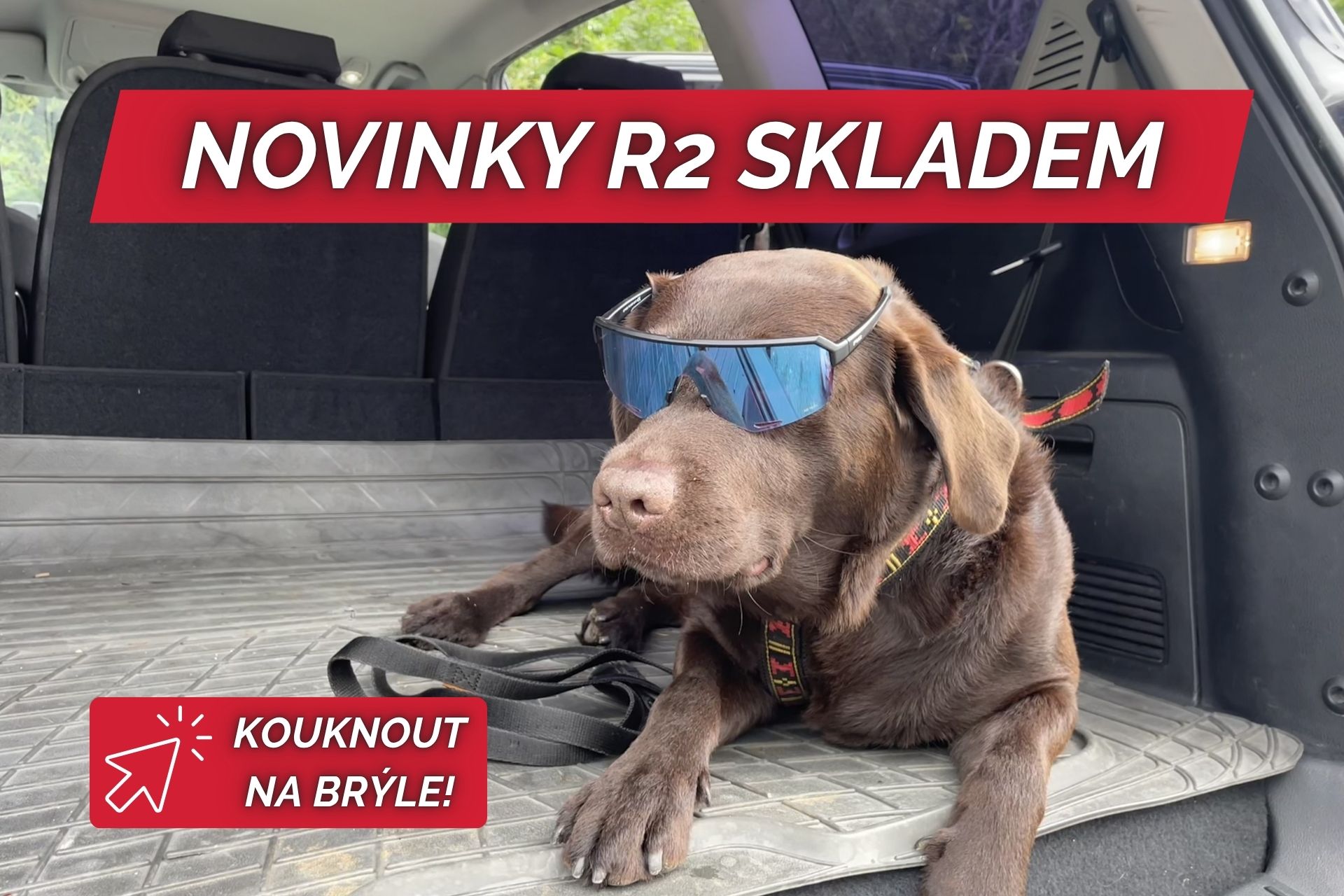 sluneční brýle R2