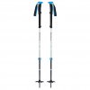 Black Diamond Expedition 2 Pro Ski Poles skialpové hole