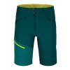 Ortovox Brenta Shorts Men's