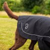 Mountain Paws Fleece Lined Dog Raincoat (Barva black, Velikost small)