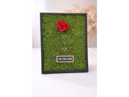 Mechová dekorace - obraz the final rose
