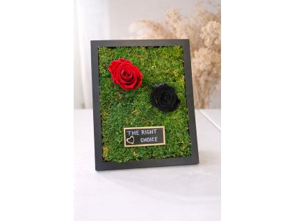 WhatsApp Image 2026 02 06 at 15.43.41