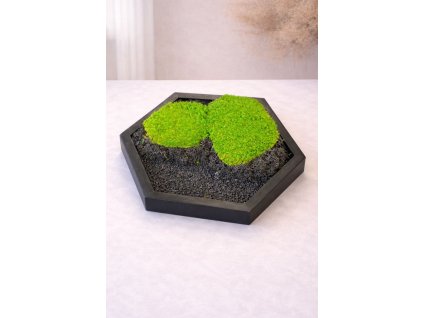 WhatsApp Image 2026 02 06 at 18.01.56 (3)