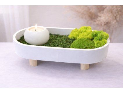 ChatGPT Image 19. 2. 2026 09 50 25