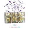 Levandulové lanýže 1