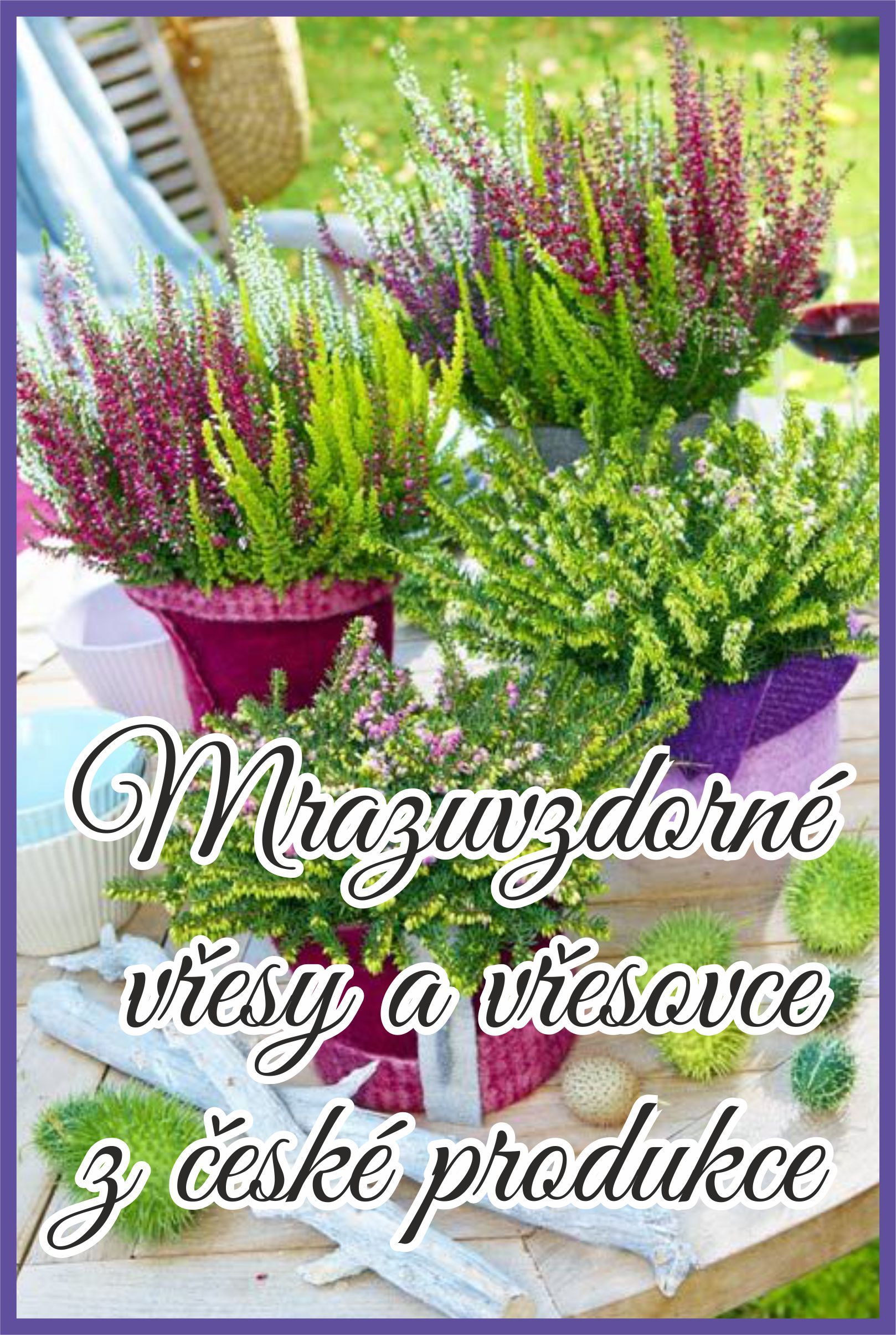 Vřesy a vřesovce