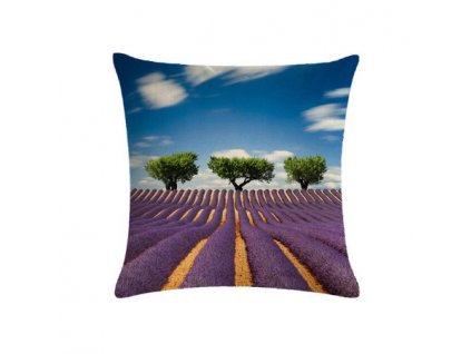 Screenshot 2020 02 01 US $2 81 25% OFF Lavender for pillow gifts HomerDecor Cushion Cover Throw Pillowcase Pillow Covers 45[...]
