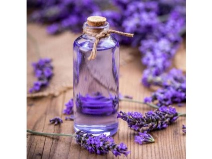 Officinalis 1