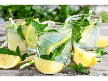 mentha mojito5