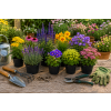 ChatGPT Image 6. 7. 2026 21 24 02
