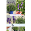 Screenshot 2026 05 13 at 21 12 17 eShop
