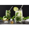 Mentha mojito4