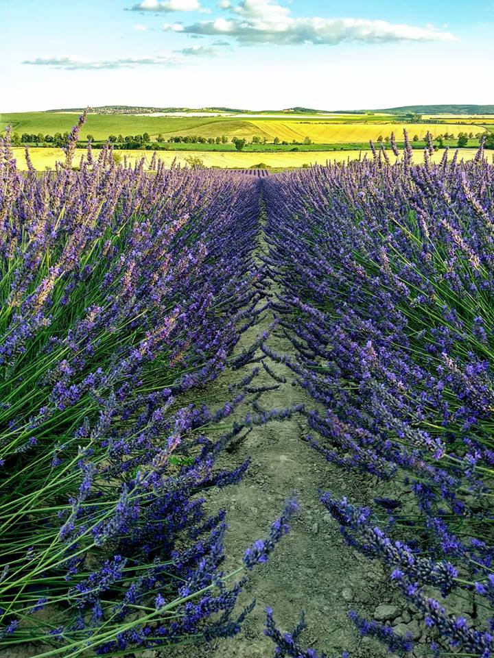Pořad Víkend TV NOVA a reportáž o naší farmě