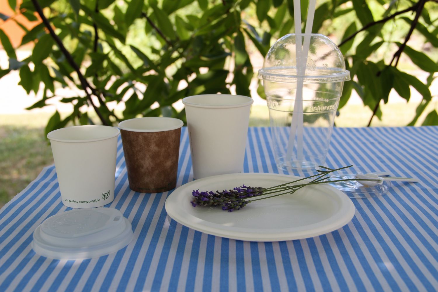 Nejsou plasty jako plasty - my máme vegware