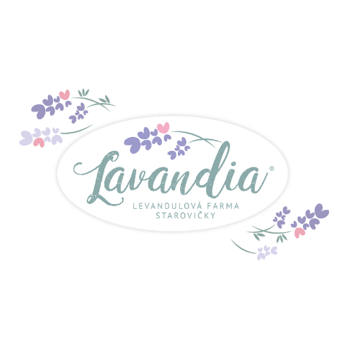 logo-web