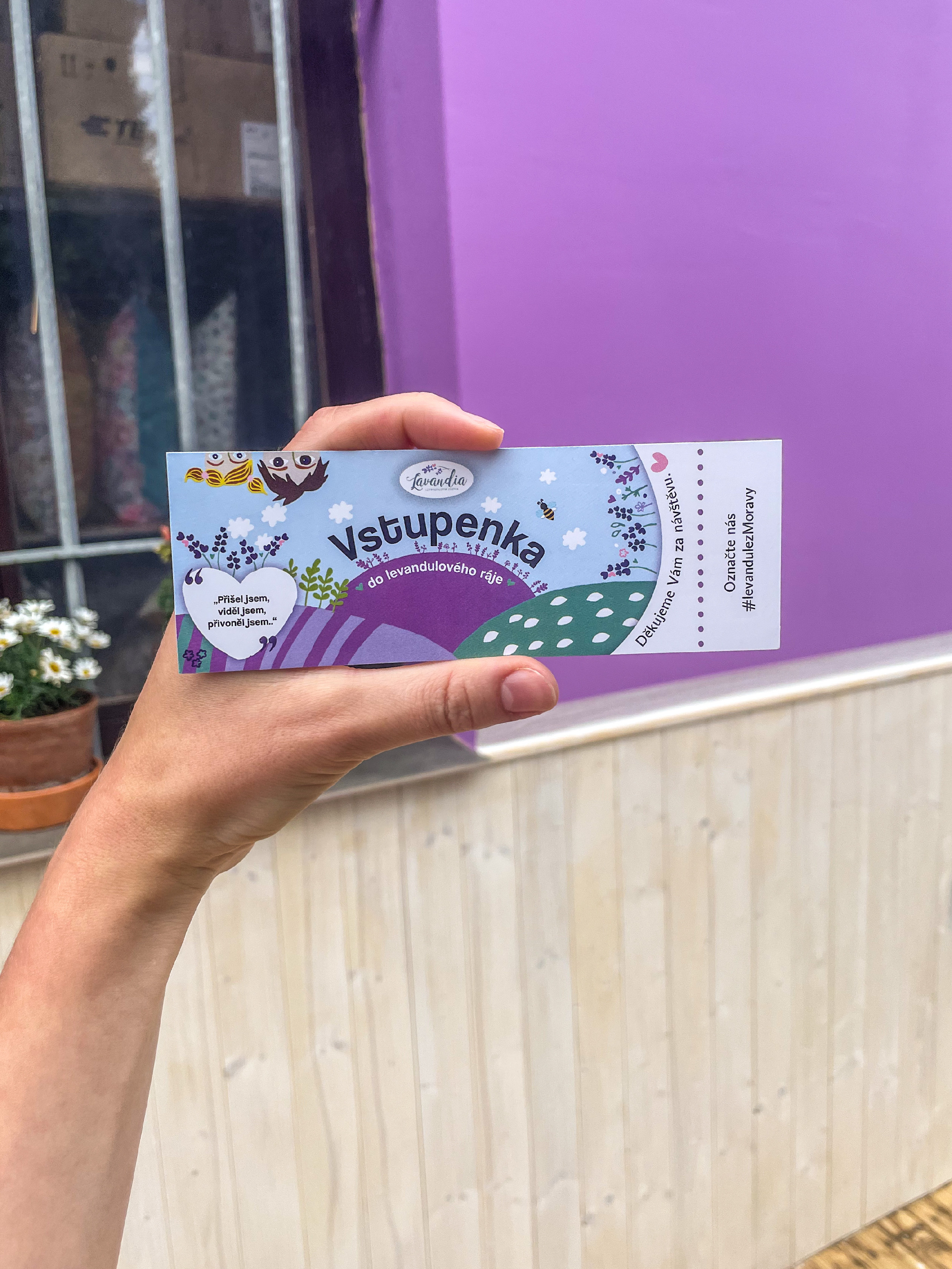 Vstupenka na levandulové políčko