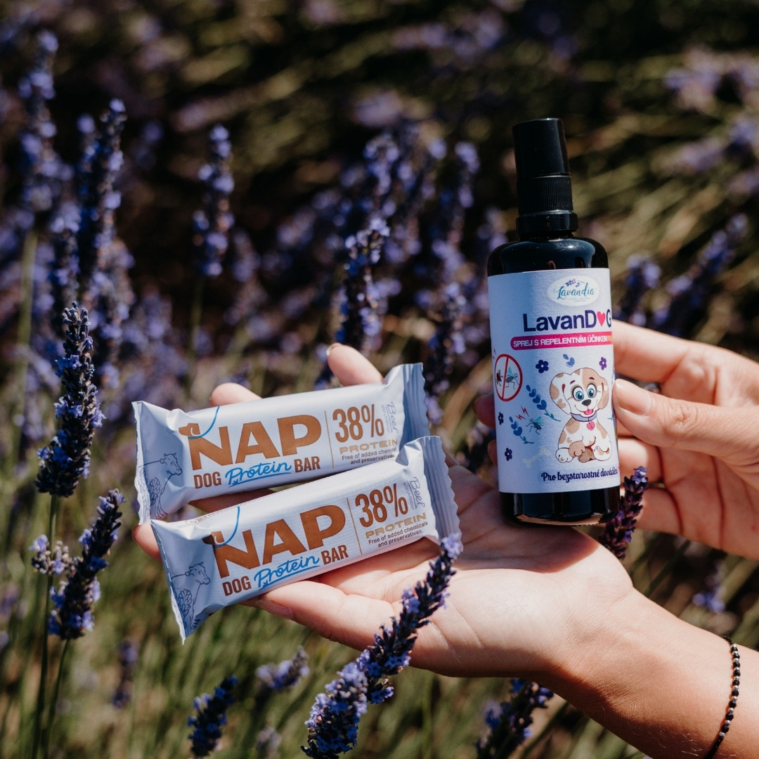 Dárkový balíček pro psí mazlíčky