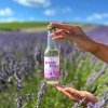 LevanduFrízo do kapsy - vinný nápoj 200 ml  Užijte si vlnu levandule