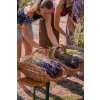 Levandulové vázání květin 26. 6. 2026  Nezapomenutelný zážitek na levandulové farmě
