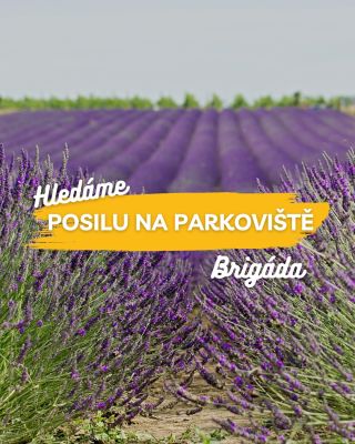 🚗 HLEDÁME POSILU NA PARKOVIŠTĚ!🪻 Chceš si přivydělat na čerstvém vzduchu a být součástí skvělé atmosféry? 🌿 👉 Nabízíme...