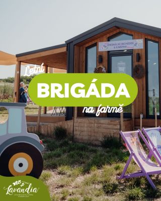 Hledáme brigádníky k nám na farmu! 🌿 A to hlavně na měsíc červen na pomoc s organizací parkoviště pro návštěvníky. 🚗 ➡️...