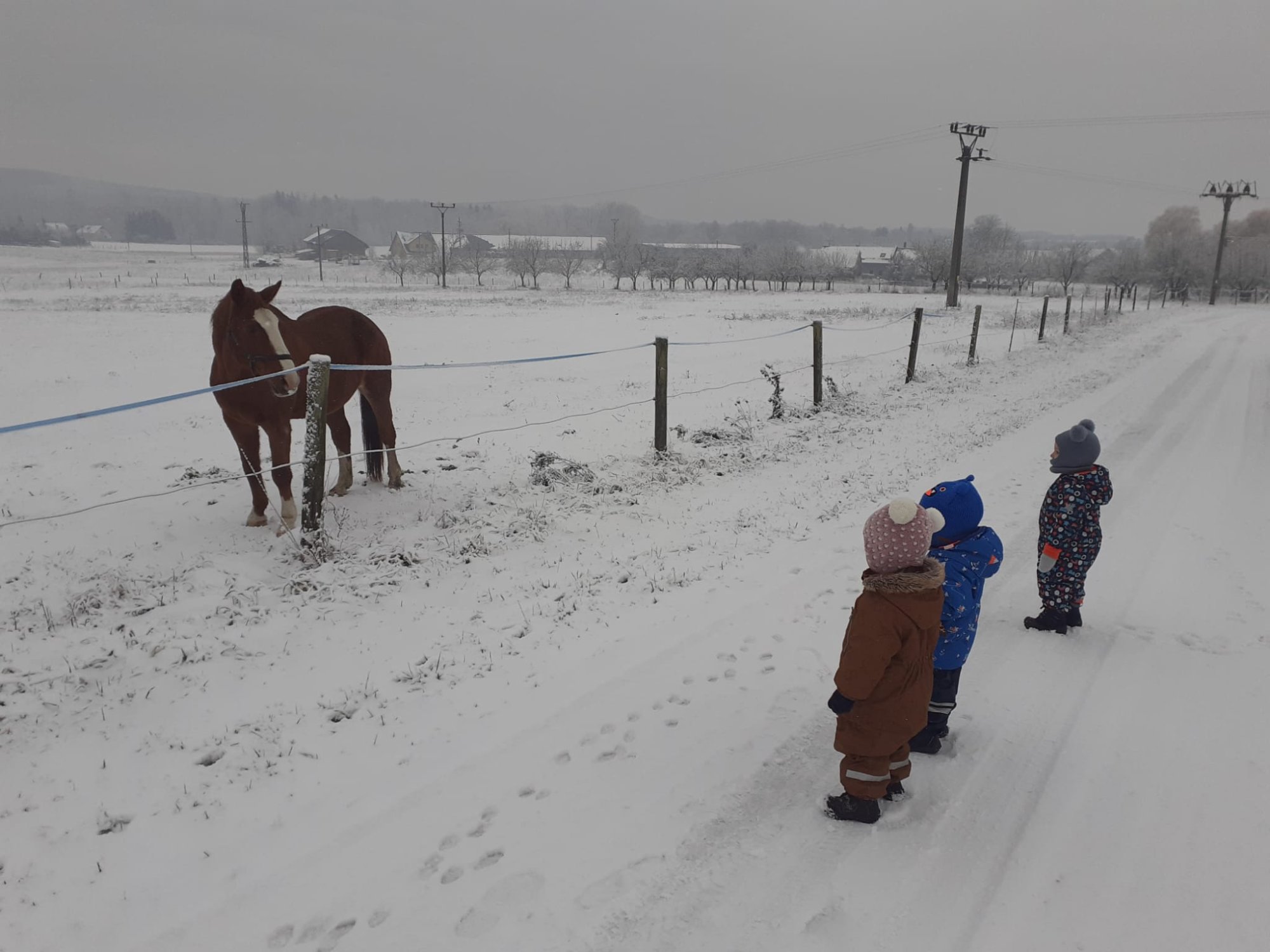❄️ Listopad v DS Levandulka – hravý, tvořivý a plný prvního zimního kouzla! 🤍🧤