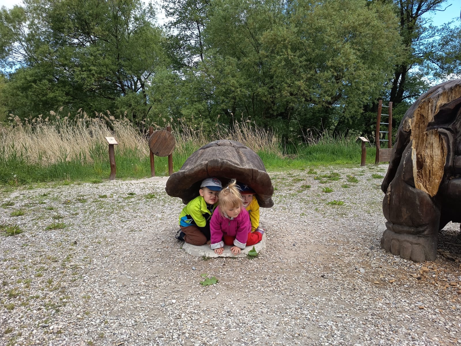 🐢 Květnové ohlédnutí v DS Levandulka