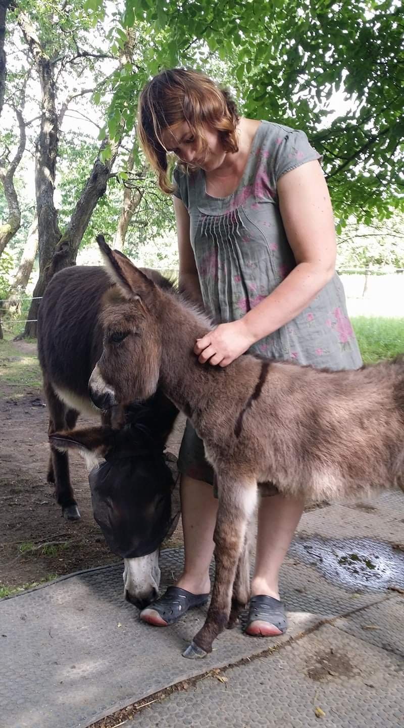 Levandulový rok