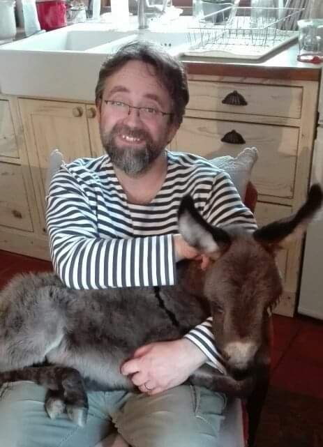 Levandulový rok