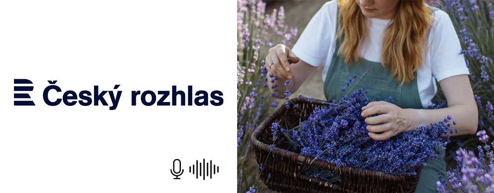 S pokorou se vracíme k našim předkům. Levanduli tu pěstovali už Keltové, říká s hrdostí naturopatka