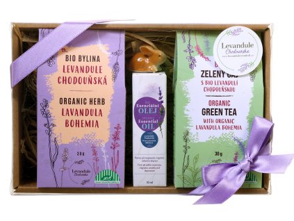 Bez názvu 1 – obnovený.psd 0025 533 A 1521.jpg