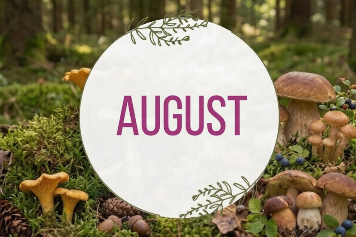 August in Valley