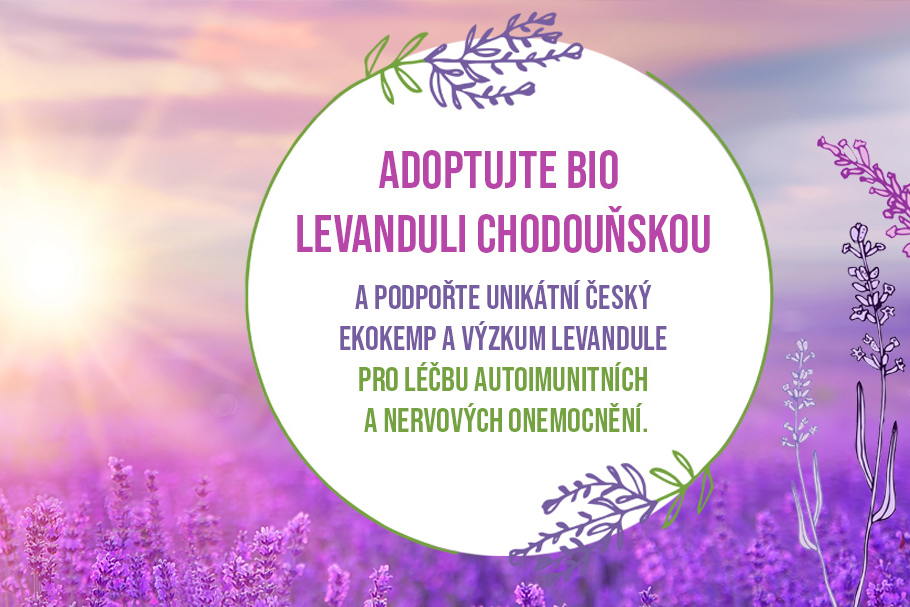 Adopt Organic Lavandula Bohemia