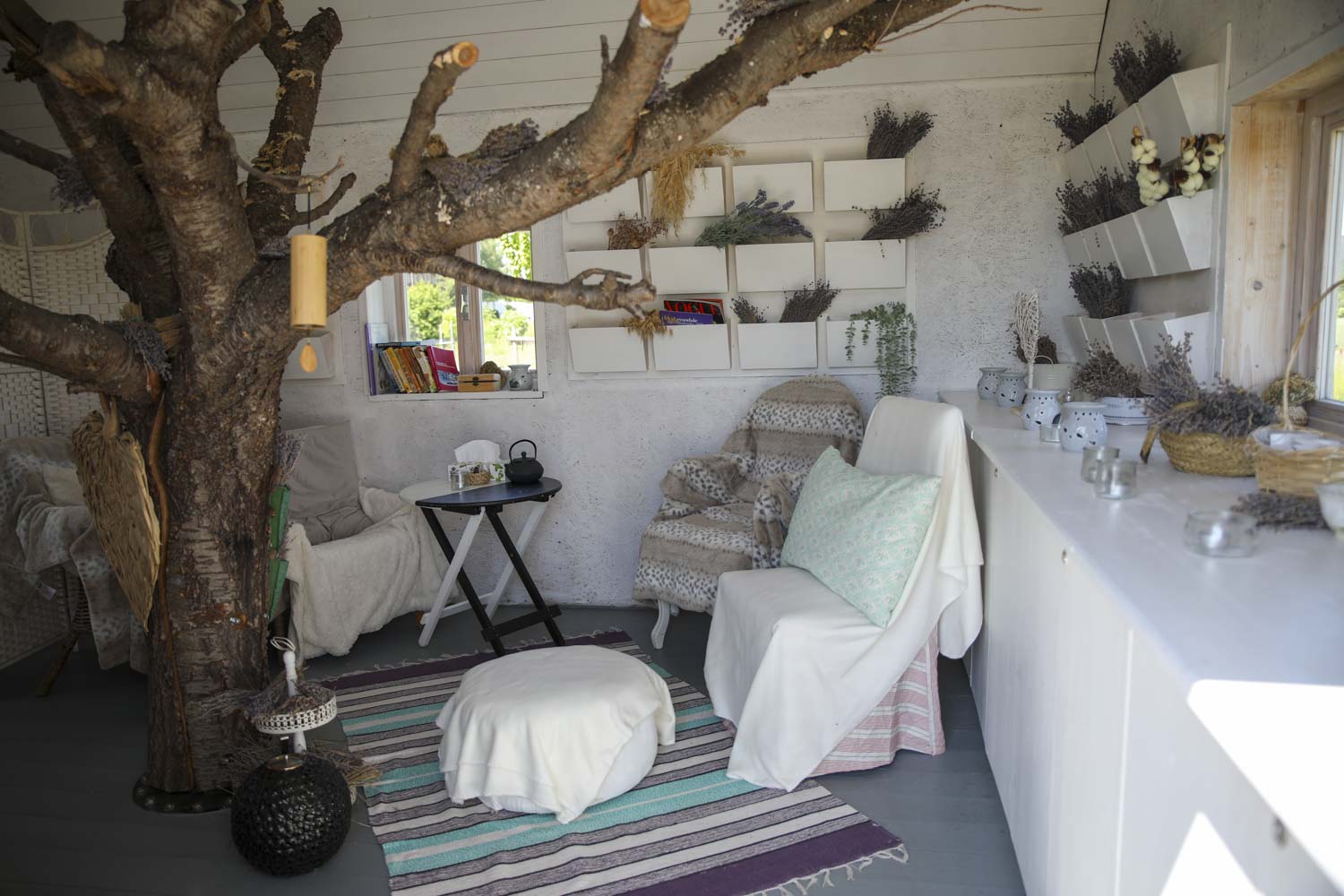 Aroma House - procedures and therapy all year round