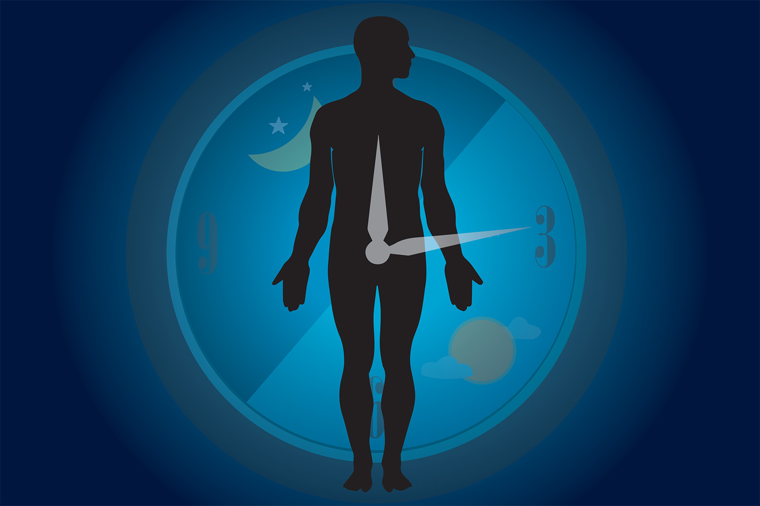 Biologické hodiny jak je neznáte, aneb orchestr cirkadiánních rytmů.