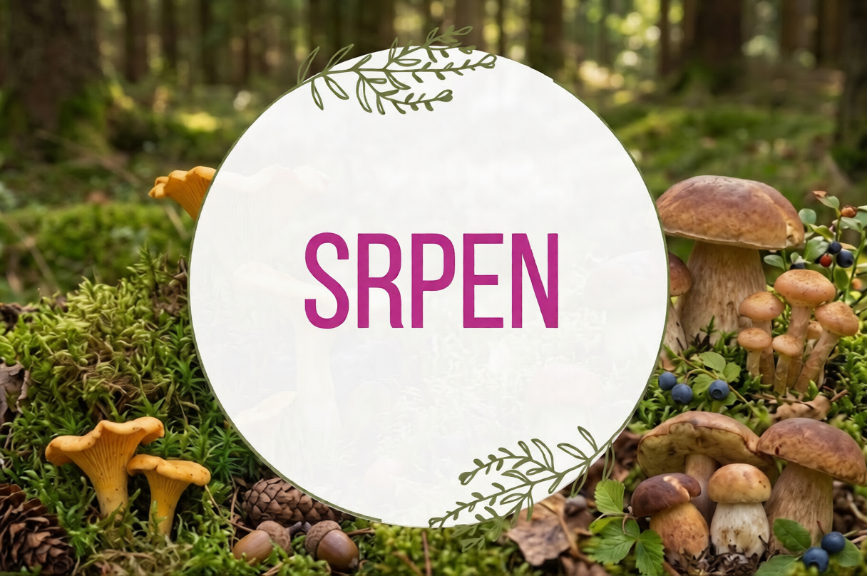 Srpen v údolí