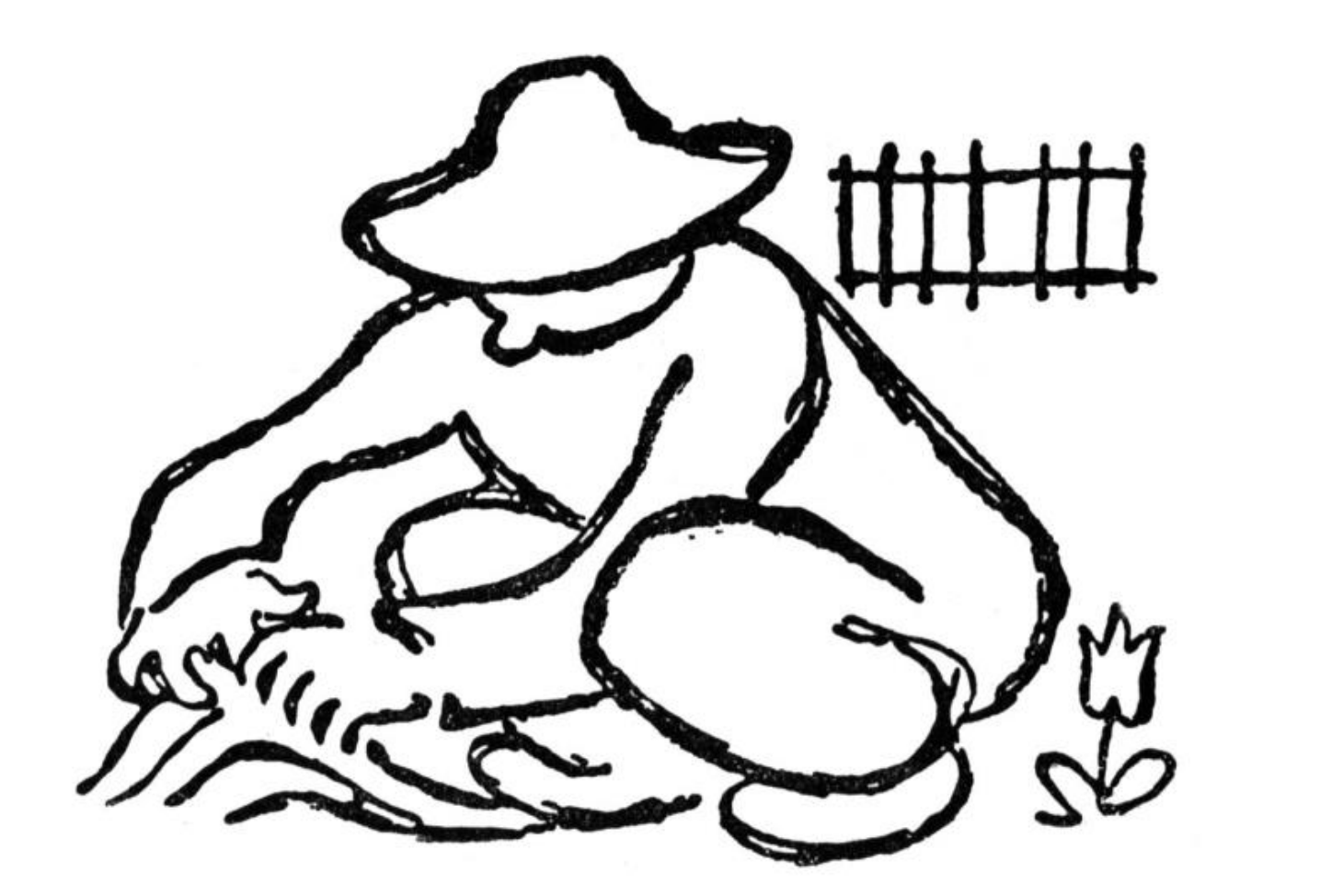 Zahradníkův rok Karla Čapka: Jak zahrada léčí tělo i duši 🌱