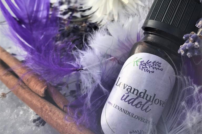 Proč dát šanci bylinám v roce 2023