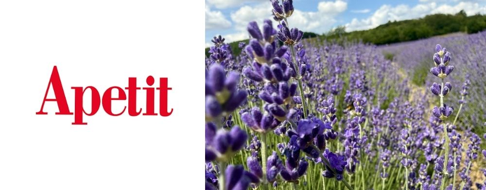 Apetit – Levandule kam se podíváš