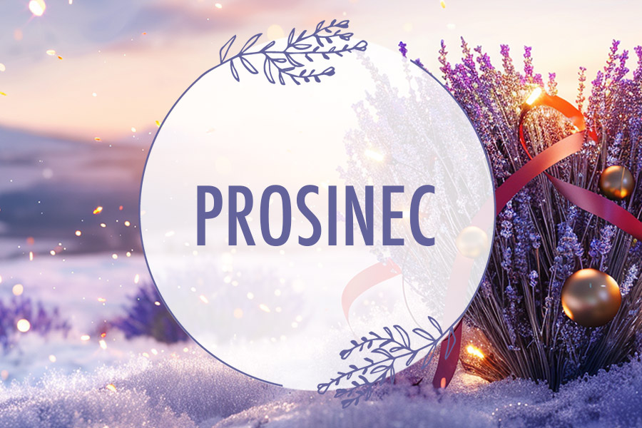 PROSINEC v Levandulovém údolí
