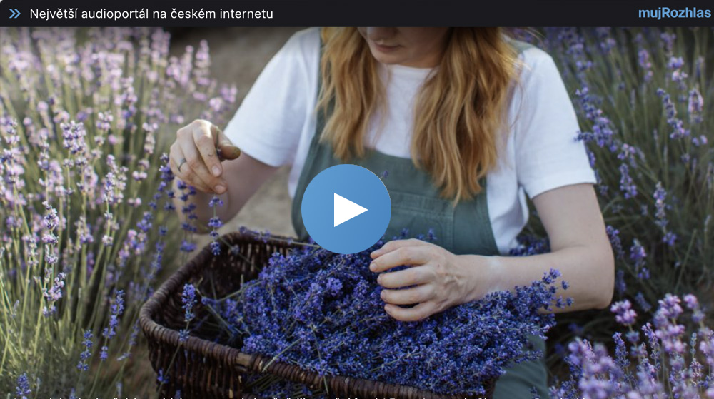 Levandule vyhoněná pesticidy není bylina, ale kytka. Pravá levandule je nedostatkové zboží, upozorňuje Helena Neumannová